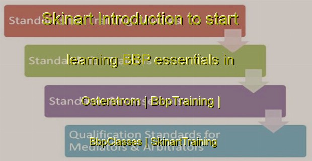 Skinart Introduction to start learning BBP essentials in Osterstrom | BbpTraining | BbpClasses | SkinartTraining-Sweden